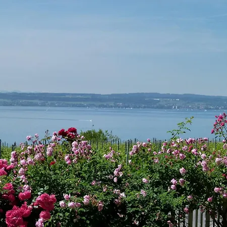 Abc Abc A Apartment Meersburg