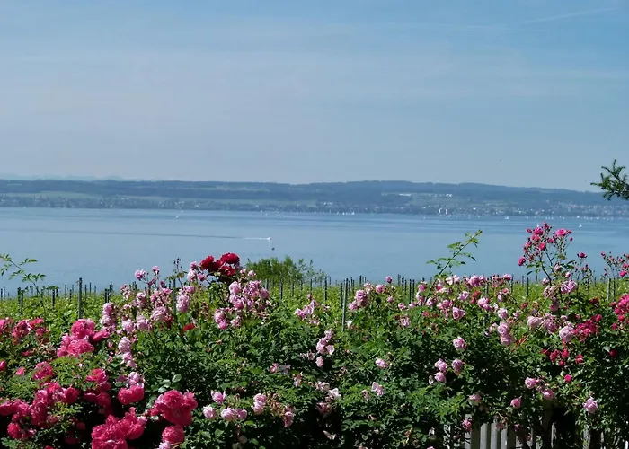 Abc Abc A Διαμέρισμα Meersburg